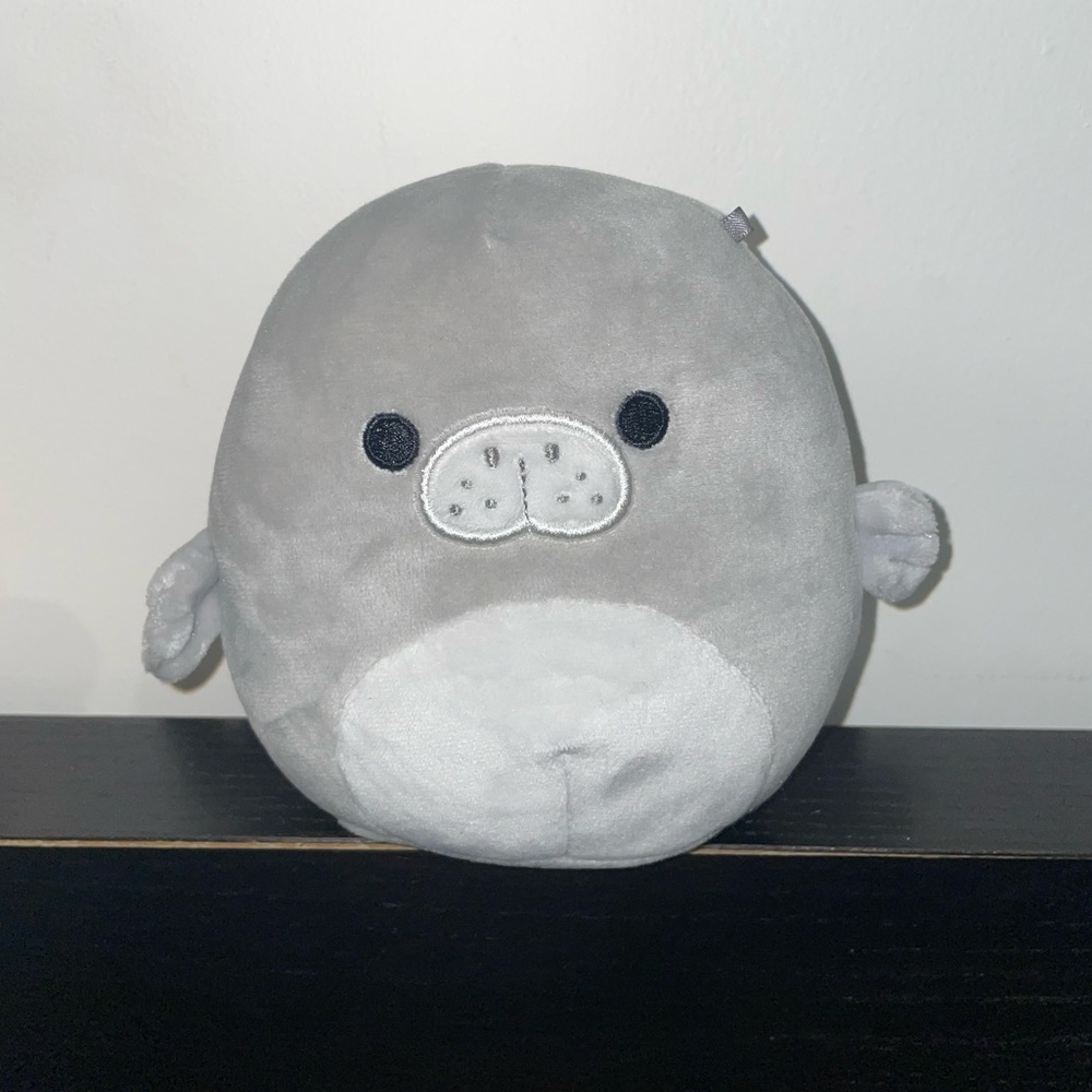 Matt the Manatee 5" Squishmallows NWT
